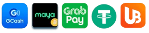 jl1 website image 21 showing payment